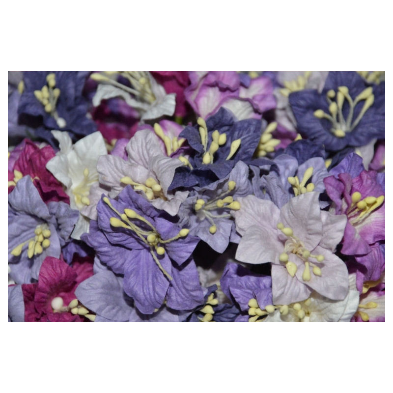 5 Lilies - Purple Mix