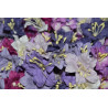 5 Lilies - Purple Mix