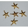 Starfish - 5 Stk.