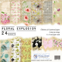 Floral Explosions 6x6 Paper...