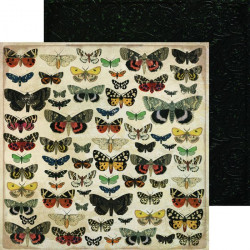 Anthology - Entomology