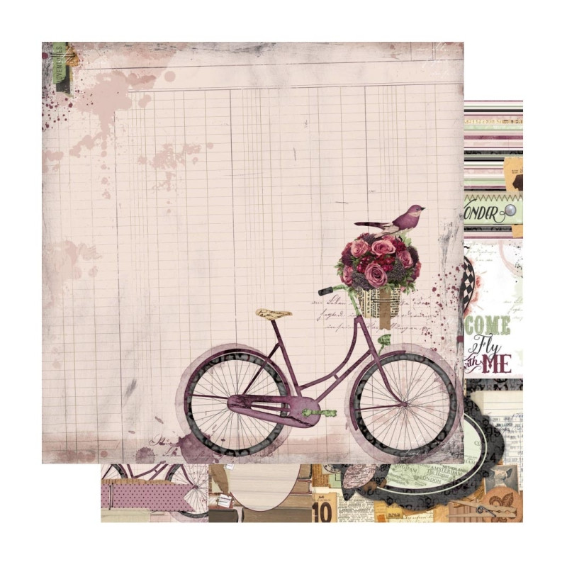 Beautiful Dreamer - Bycycle