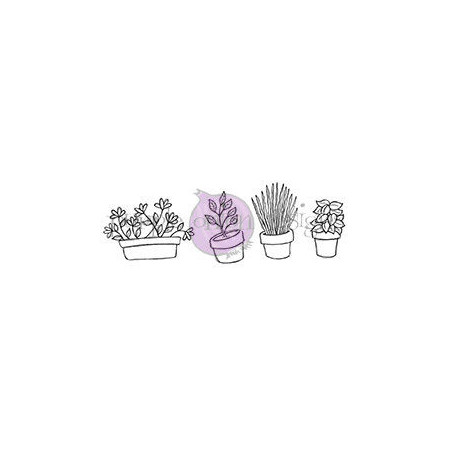 Potted Plants & Herbs