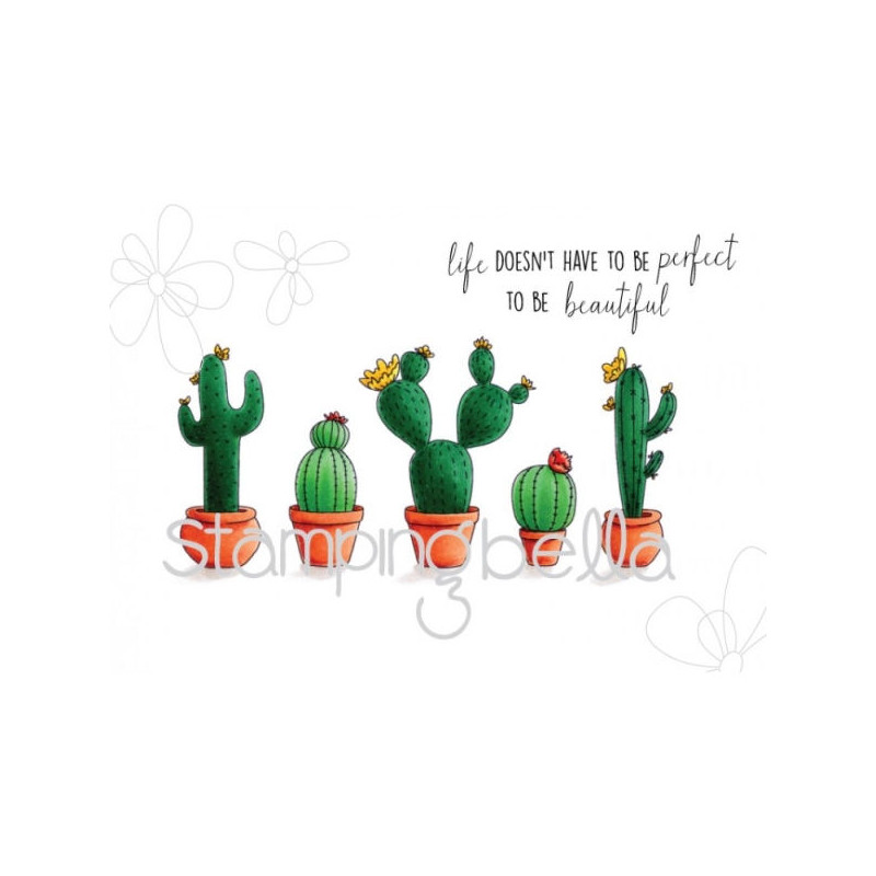 Cacti