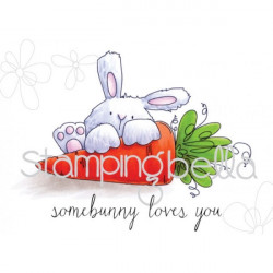 Somebunny Loves You Bunny...