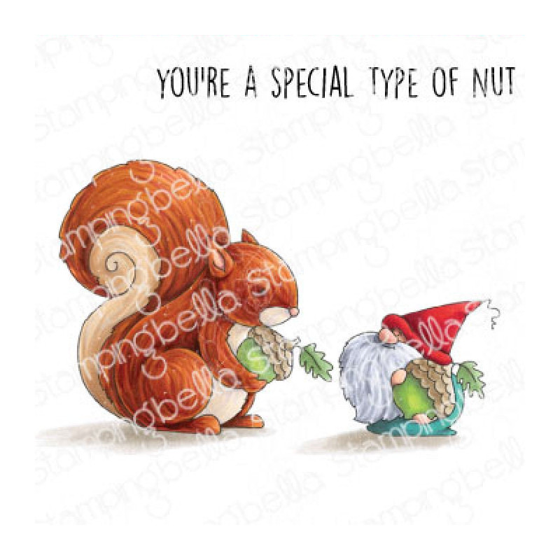 The Gnome and the Squirrel