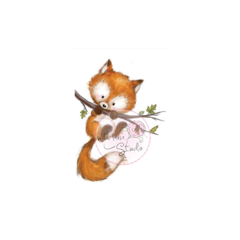 Fox on Branch