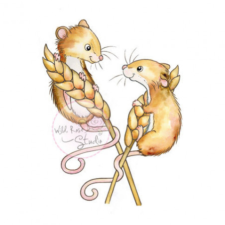 Harvest Mice