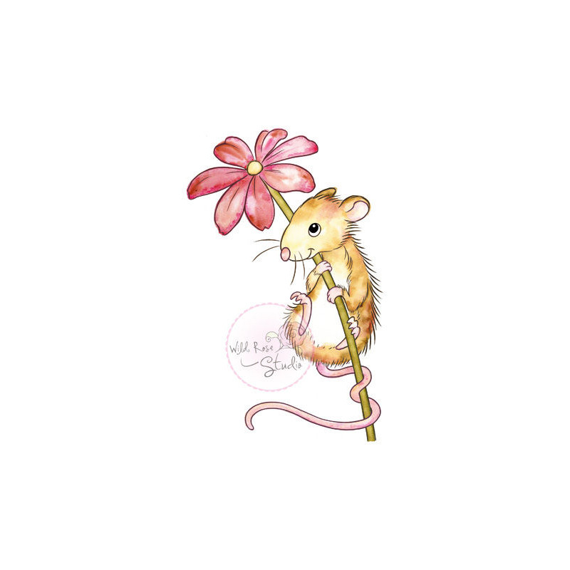 Mouse and Flower