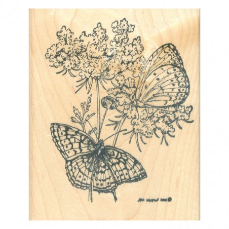 Queen Anne's Lace w/ two Butterflies