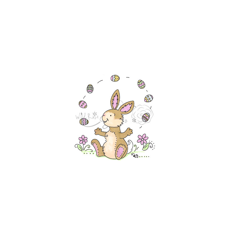 Juggling Bunny